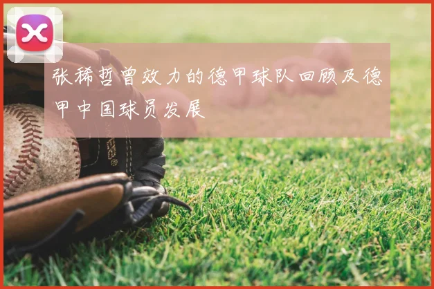 张稀哲曾效力的德甲球队回顾及德甲中国球员发展